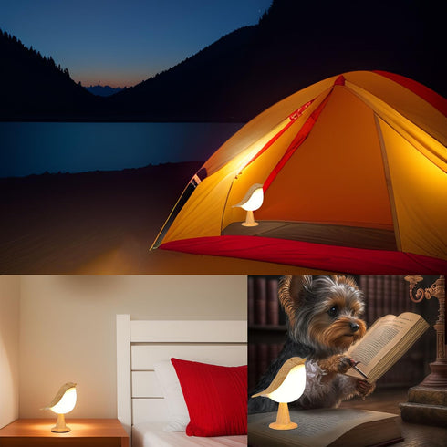 Small Cordless Bedside Lamp, Night Light Touch Sensor, LED Table Lamp with Touch Dimmer,3 Level Brightness Nightstand Lamps, Rechargered Desk Lamp...