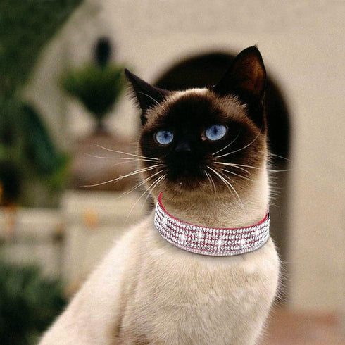 Rhinestones Dog Cat Collars with Bell Bling Pet Puppy Collars with Soft Velvet Crystal Collars Girl Jeweled Necklace (Red)...