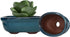 Chinese Bonsai Pot Oval Glazed Flower Pot Planter Home Garden Decor...