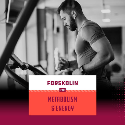 Pure Forskolin Extract - Fat Burning & Metabolism Boosting Weight Loss Supplement - Natural Pills for Women & Men 30 Servings per Container...