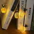 Merdeco Pineapple String Lights, 10ft 20 LED Plug in String Lights Warm White Fairy Lights for Birthday Party Wedding Home Indoor Outdoor Decorati...