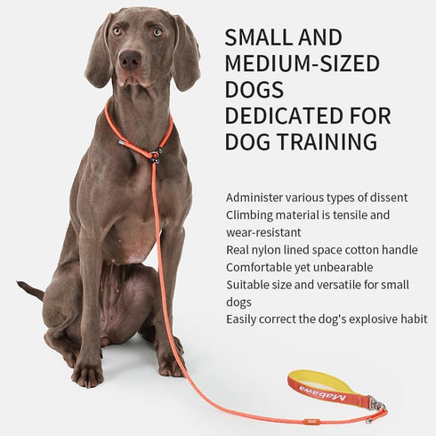 Slip Lead Dog Leash, 5 FT Dog Training Leash with Metal Stopper, Durable No Pulling Dog Lead Leash with Comfortable Handle, Nylon Heavy Duty Rope ...