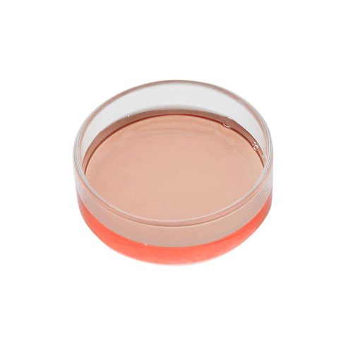 EISCO Petri Dish, 2" (50mm) - Beaded Edges Easy to Sterilize for Repeated Use Borosilicate Glass- Eisco Labs...