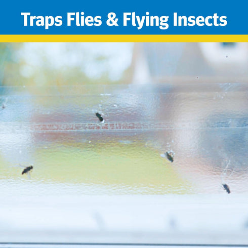 Raid Window Fly Traps, 4 Traps...