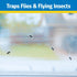 Raid Window Fly Traps, 4 Traps...