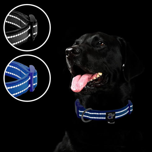 azuza 2 Pack Neoprene Padded Dog Collar for Small Dogs, Reflective Dog Collar with ID Tag Ring, Adjustable Safe and Comfy Dog Collars,Royal Blue/B...