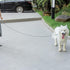 Chew Proof Dog Leash,6FT Metal Cable Lead,Heavy Duty Leash Made of Coated Wire Rope,Chew Resistant,Great for Large Dogs and Teething Puppies,Dog C...