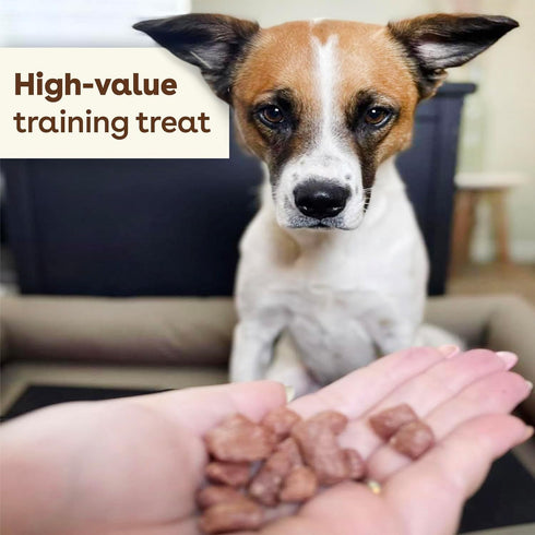 Pupford Freeze Dried Training Treats for Dogs & Puppies, 225+ Two Ingredient Bites (Salmon, 2 oz)...
