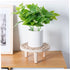 Small Wooden Flower Stand Wooden Stand Wood Base Crystal Ball Holder Vase Display Stands Bonsai Stand Wooden Stool Display Stand Home Ornament Pla...
