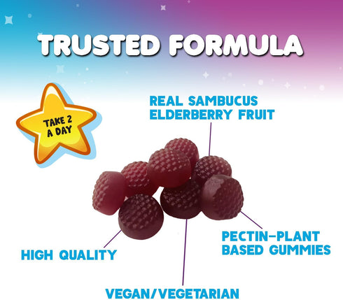 Children's Daily Immune Support Gummies with Real Elderberry + Vitamin C & Zinc to Support Kids Healthy Immune System, Natures Sambucus Elderberry...