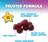 Children's Daily Immune Support Gummies with Real Elderberry + Vitamin C & Zinc to Support Kids Healthy Immune System, Natures Sambucus Elderberry...