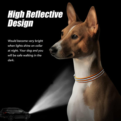 Reflective Dog Collar, Ultra Comfortable Soft Neoprene Padded Dog Collar, High Visibility Thick Nylon Dog Collars, Adjustable for Small/Medium/Lar...