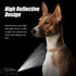 Reflective Dog Collar, Ultra Comfortable Soft Neoprene Padded Dog Collar, High Visibility Thick Nylon Dog Collars, Adjustable for Small/Medium/Lar...