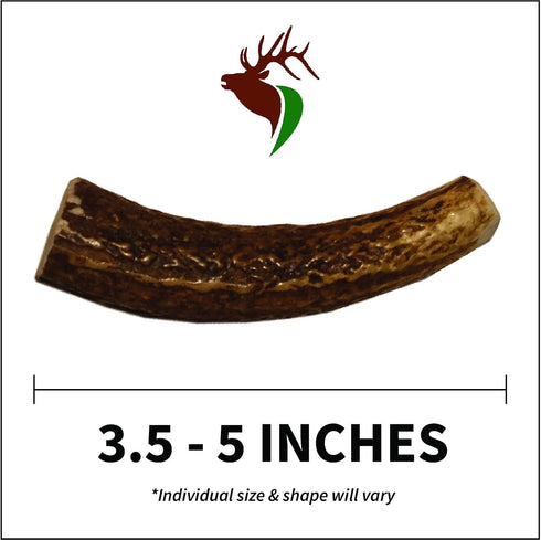 X Small Whole Twin Pack (for 0-15 lb Dogs and Puppies) Premium Grade Elk Antlers for Dogs (2 Pieces) Sourced in The USA...