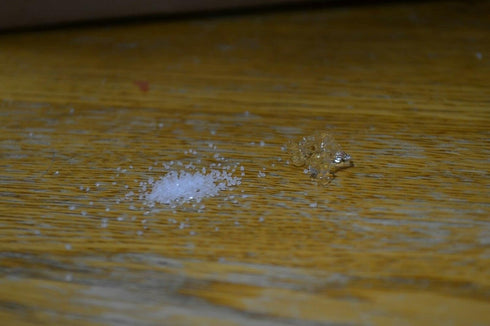 Small Water Storing Polymer Crystals for Insects and Plants (1mm Diameter) by Five-Star Feeders (1 Ounce)...