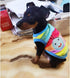 ANIAC Pet Costume Cute Rabbit Clothes Soft Bunny Vest Cozy T-shirt for kitten Ferret Chihuahua puppy and Small Animals (2XS, Rainbow)...