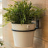 2pcs Flower Pot Storage Rack Outdoor Planter Pots Outdoor Hooks Outdoor Pots Metal Organizer Shelf Indoor Plant Pots Flowerpot Wall Hanger Wall Mo...