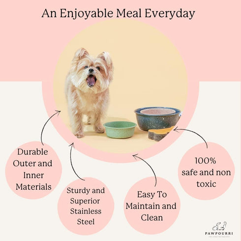Hand Painted Multicolour Anti-Skid Stainless Steel Water and Food Feeding Bowl for Adult Dogs, Puppies, Cats |Stainless Steel | Anti-Skid | Easy t...