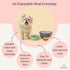 Hand Painted Multicolour Anti-Skid Stainless Steel Water and Food Feeding Bowl for Adult Dogs, Puppies, Cats |Stainless Steel | Anti-Skid | Easy t...