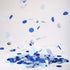 TecUnite Round Tissue Paper Table Confetti Dots for Wedding Birthday Party Decoration, 1.76 oz(White Blue Confetti,2.5 cm)...