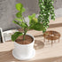 2Pack Plant Pot Grid, Cuttable Flower Pot Soil Cover Protectors with Deep Stakes, Dogs, Cats Digging Stopper, Plant Grid Pot Cover, 19cm/7.5in Dia...