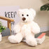 Teddy Bear Stuffed Animal, 12 inch Soft Cuddly Stuffed Plush Bear, Gifts for Kids Baby Toddlers on Baby Shower, Valentine's Day (B-Beige)...