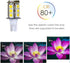 T5 T10 Wedge Base LED Light Bulb High Brightness 12VAC/DC 3Watt 2700K-3000K Warm White Color for Outdoor Landscape Lighting Deck Stair Step Path L...