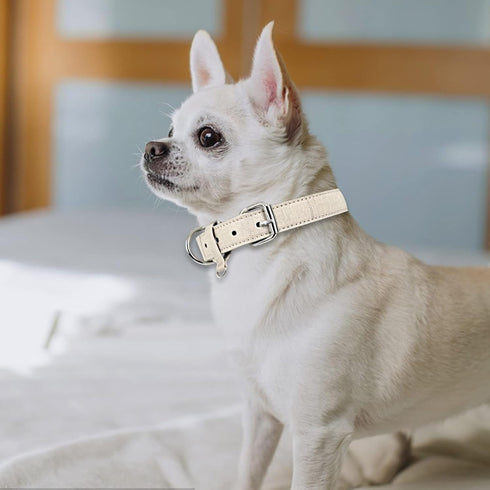Dog Collar for Small Medium Large Dogs Pet Collars Girl Boy, PU Stamping Leather Plaid Dogs Collar Adjustable Chihuahua Teacup Yorkie Puppy Collar...