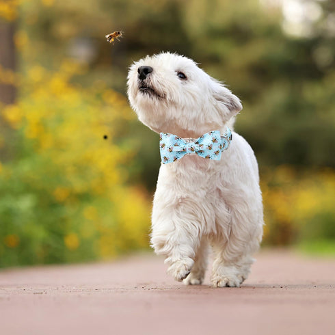 Maca Bates Blue Bee Dog Collar with Bow Bowtie for Dogs Bow Tie Adjustable Breakaway Blue Collars Accessories Birthday Gift for Small Medium Large...