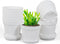 12 Pack 4 inch Plastic Planters, Seedlings Plant Nursery Pots with Drainage Holes and Saucers for Plants Flowers Succulent and All House Plants, W...