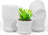 12 Pack 4 inch Plastic Planters, Seedlings Plant Nursery Pots with Drainage Holes and Saucers for Plants Flowers Succulent and All House Plants, W...