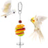 Bird Skewer, Bird Food Holder Bird Cage Food Holder Hanging Food Bird Skewer Stainless Steel Parrot Hanging Vegetable Fruit Feeder Parrot Foraging...