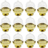 TIHOOD 12PCS Mini Cupcake Stand, Tiny Cake Dome with Clear Plastic For Chocolate, Cheese, Coconut Macaroons, Rum Balls, Candies & More!...