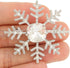EVER FAITH Austrian Crystal Winter Snowflake Flower Brooch Pin Clear Silver-Tone...