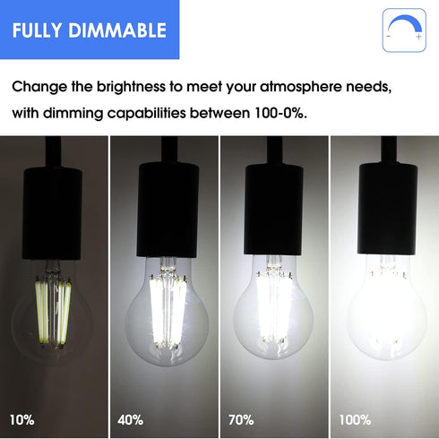 Energetic Dimmable A19 LED Edison Light Bulb, 12W Equivalent 100W, 1600LM High Brightness, 5000K Daylight, Clear Antique LED Filament Bulb for Hom...