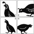 jojofuny 4pcs Garden Quail Stake Bird Yard Art Metal Statue Decor Animals Silhouette Outdoor Decoration Courtyard Ornaments for Lawns Backyard Pat...