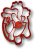 Heart Anatomy Cookie Cutter...