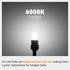 E11 LED Bulb Dimmable, 50W Equivalent, Daylight 6000K, T4 Mini Candelabra LED Bulb, E11 Base, 5W 580 Lumen, 5-Pack...