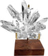 Adjustable Brass Crystal Display Stand with Walnut Base Mineral Specimens Display Stand Rock Display Easel Metal Display Holder for Stones Geodes ...