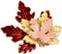 BinaryABC Thanksgiving Brooch Pin,Autumn Fall Leaves Brooch Pin,Maple Leaf Lapel Pin, Thanksgiving Jewelry Accessory Gifts Decoration...