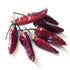 Alma Gourmet Dried Calabrian Chili Peppers Whole | 100 Gram | 3.5 Ounce...