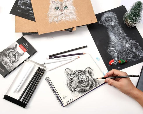 Charcoal Drawing Set -12 pc Black charcoal pencils, White Charcoal Pencils, Eraser Pencils, Blending Stumps for Drawing, Sketching, Shading, Artis...