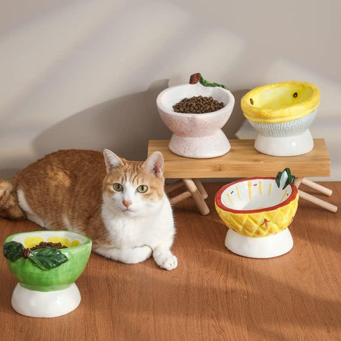 Lemon Shape 6 Inch Cat Raised Bowls, Pet Tilted Elevated Ceramic Dog Food & Water Dish for Puppy, Anti Vomiting & Lead-Free...