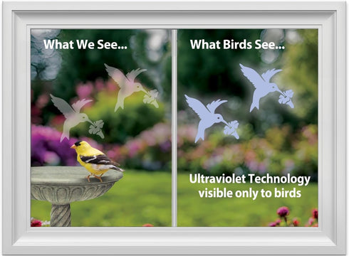 WindowAlert Hummingbird Anti-Collision Decal - UV-Reflective Window Decal to Protect Wild Birds from Glass Collisions - Made in The USA...