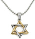 Stainless Steel Jewish Star of David Pendant Necklace Silver Gold Tone...