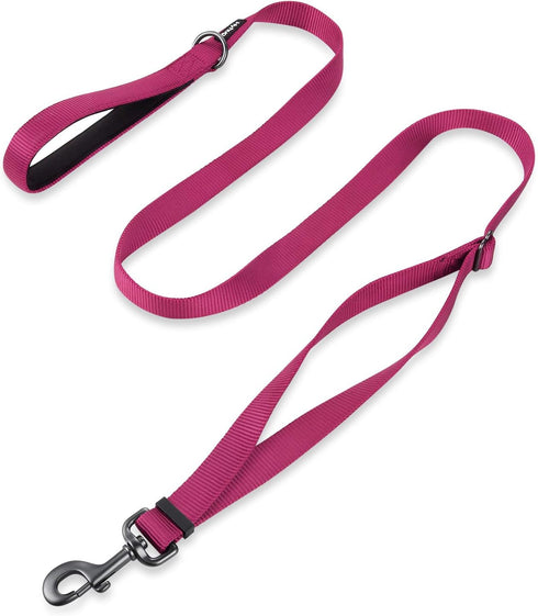 Hyhug Pets Premium Upgraded Adjustable Between 4 Feet and 6 Feet Leash with Durable Nylon and Super Soft Neoprene lined Handle for Young Dogs Dail...