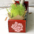 DLY LIFESTYLE Rose Stencil for Painting on Wood, Canvas, Paper, Fabric, Walls and Furniture - Rose Flower Stencil - 6x6 Inches - Reusable DIY Art ...