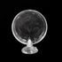 Aquarium Shrimp Feeder Dish with Suction Glass Fish Tank Feeding Bowls, Round Clear Dishes Tray, Non-Toxic, Safe, Dense, Smooth, Long-Term Use, 6 ...