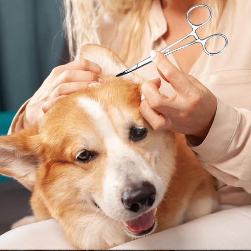 Hemostat Forceps, Stainless Steel Pet Dog Grooming Ear Cleaning Clamp Pets Cat Ears Hairs Tweezers with Curved Tip Antislip Locking Forceps Remove...