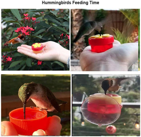 Hummingbird Feeder for Window Small Handheld Bird Flower Feeders with Perch Cleaning Brush (2 Pack)...